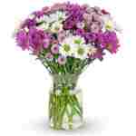 Benchmark Bouquets - 16 Stem Chrysanthemum Daisies (Glass Vase Included) – Fresh Flowers for Delivery - Gift for Easter, Mother’s Day, Birthday, Anniversary, Sympathy, Get Well,...
