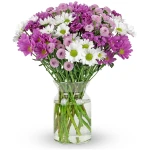 Benchmark Bouquets - 16 Stem Chrysanthemum Daisies (Glass Vase Included) – Fresh Flowers for Delivery - Gift for Easter, Mother’s Day, Birthday, Anniversary, Sympathy, Get Well,...