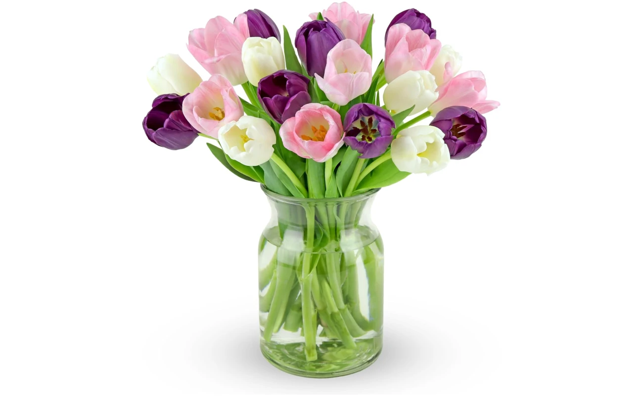 Benchmark Bouquets - 20 Stem Mother's Day Tulips (Glass Vase Included) – Fresh Flowers for Delivery - Gift for Birthday, Anniversary, Sympathy, Get Well, Congratulations