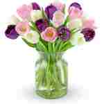 Benchmark Bouquets - 20 Stem Mother's Day Tulips (Glass Vase Included) – Fresh Flowers for Delivery - Gift for Birthday, Anniversary, Sympathy, Get Well, Congratulations