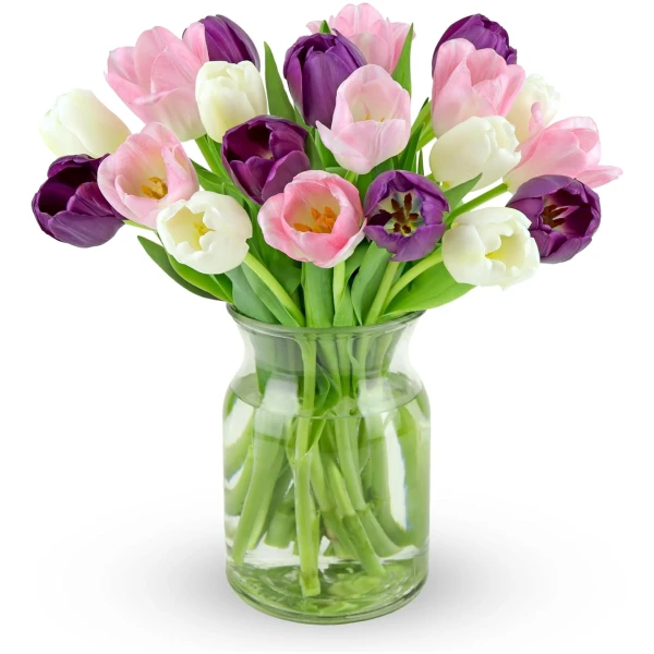 Benchmark Bouquets - 20 Stem Mother's Day Tulips (Glass Vase Included) – Fresh Flowers for Delivery - Gift for Birthday, Anniversary, Sympathy, Get Well, Congratulations