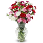 Benchmark Bouquets - 20 Stem Rainbow Mini Carnations (Glass Vase Included) – Fresh Flowers for Delivery - Gift for Easter, Mother’s Day, Birthday, Anniversary, Sympathy, Get...