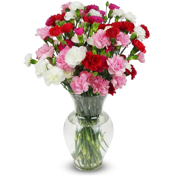 Benchmark Bouquets - 20 Stem Rainbow Mini Carnations (Glass Vase Included) – Fresh Flowers for Delivery - Gift for Easter, Mother’s Day, Birthday, Anniversary, Sympathy, Get...