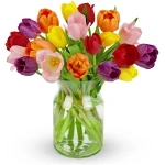 Benchmark Bouquets - 20 Stem Rainbow Tulips (Glass Vase Included) – Fresh Flowers for Delivery - Gift for Easter, Mother’s Day, Birthday, Anniversary, Sympathy, Get Well,...