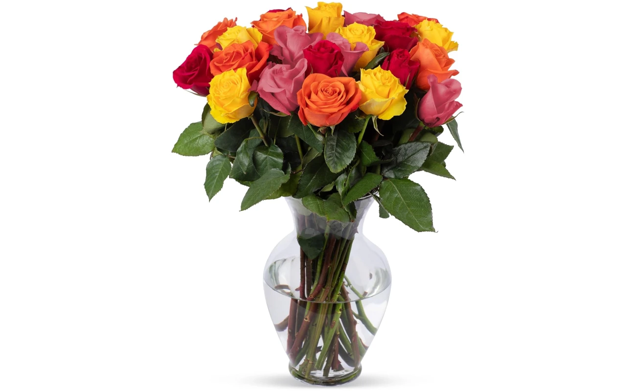 Benchmark Bouquets - 24 Stem Premium Rainbow Roses (Glass Vase Included) – Fresh Flowers for Delivery - Gift for Easter, Mother’s Day, Birthday, Anniversary, Sympathy, Get Well,...