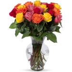 Benchmark Bouquets - 24 Stem Premium Rainbow Roses (Glass Vase Included) – Fresh Flowers for Delivery - Gift for Easter, Mother’s Day, Birthday, Anniversary, Sympathy, Get Well,...