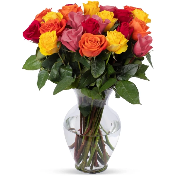 Benchmark Bouquets - 24 Stem Premium Rainbow Roses (Glass Vase Included) – Fresh Flowers for Delivery - Gift for Easter, Mother’s Day, Birthday, Anniversary, Sympathy, Get Well,...
