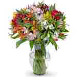 Benchmark Bouquets - 25 Stem Peruvian Lilies (Glass Vase Included) – Fresh Flowers for Delivery - Gift for Easter, Mother’s Day, Birthday, Anniversary, Sympathy, Get Well,...