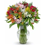 Benchmark Bouquets - 25 Stem Peruvian Lilies (Glass Vase Included) – Fresh Flowers for Delivery - Gift for Easter, Mother’s Day, Birthday, Anniversary, Sympathy, Get Well,...