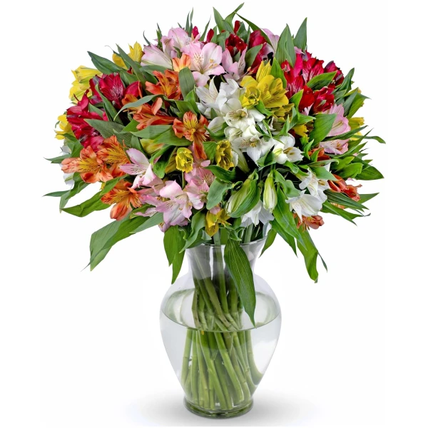 Benchmark Bouquets - 25 Stem Peruvian Lilies (Glass Vase Included) – Fresh Flowers for Delivery - Gift for Easter, Mother’s Day, Birthday, Anniversary, Sympathy, Get Well,...