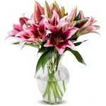 Benchmark Bouquets - 8 Stem Pink Oriental Lilies (Glass Vase Included) – Fresh Flowers for Delivery - Gift for Easter, Mother’s Day, Birthday, Anniversary, Sympathy, Get Well,...
