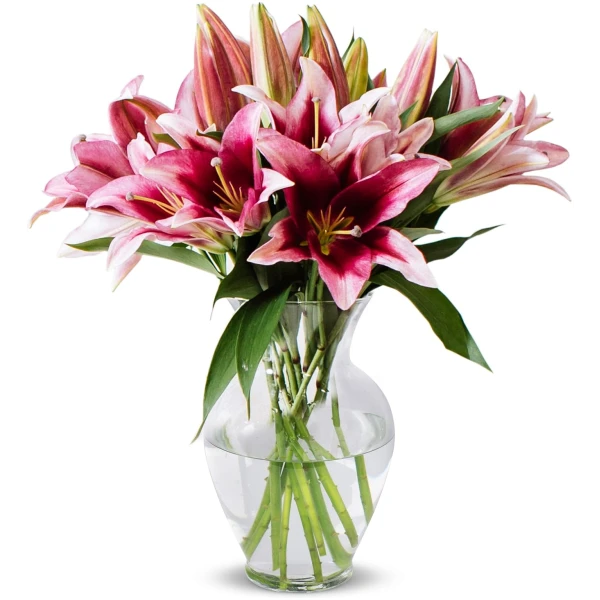 Benchmark Bouquets - 8 Stem Pink Oriental Lilies (Glass Vase Included) – Fresh Flowers for Delivery - Gift for Easter, Mother’s Day, Birthday, Anniversary, Sympathy, Get Well,...