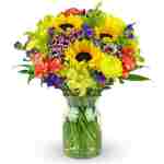 Benchmark Bouquets - Flowering Fields (Glass Vase Included) – Fresh Flowers for Delivery - Gift for Easter, Mother’s Day, Birthday, Anniversary, Sympathy, Get Well, Congratulations