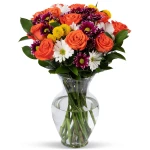 Benchmark Bouquets - Life is Good Orange (Glass Vase Included) – Fresh Flowers for Delivery - Gift for Easter, Mother’s Day, Birthday, Anniversary, Sympathy, Get Well,...