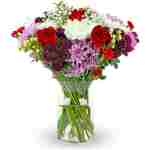 Benchmark Bouquets - Timeless Romance (Glass Vase Included) – Fresh Flowers for Delivery - Gift for Easter, Mother’s Day, Birthday, Anniversary, Sympathy, Get Well, Congratulations