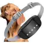 Dog Bark Collar, Adjustable Training Collar Intelligent Waterproof Barking Terminator Device, Anti-Barking Device with 5 sensitivities, USB Charging, Long Battery Life Dogs