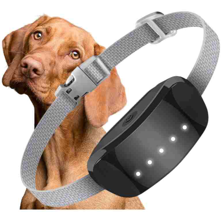 Dog Bark Collar, Adjustable Training Collar Intelligent Waterproof Barking Terminator Device, Anti-Barking Device with 5 sensitivities, USB Charging, Long Battery Life Dogs