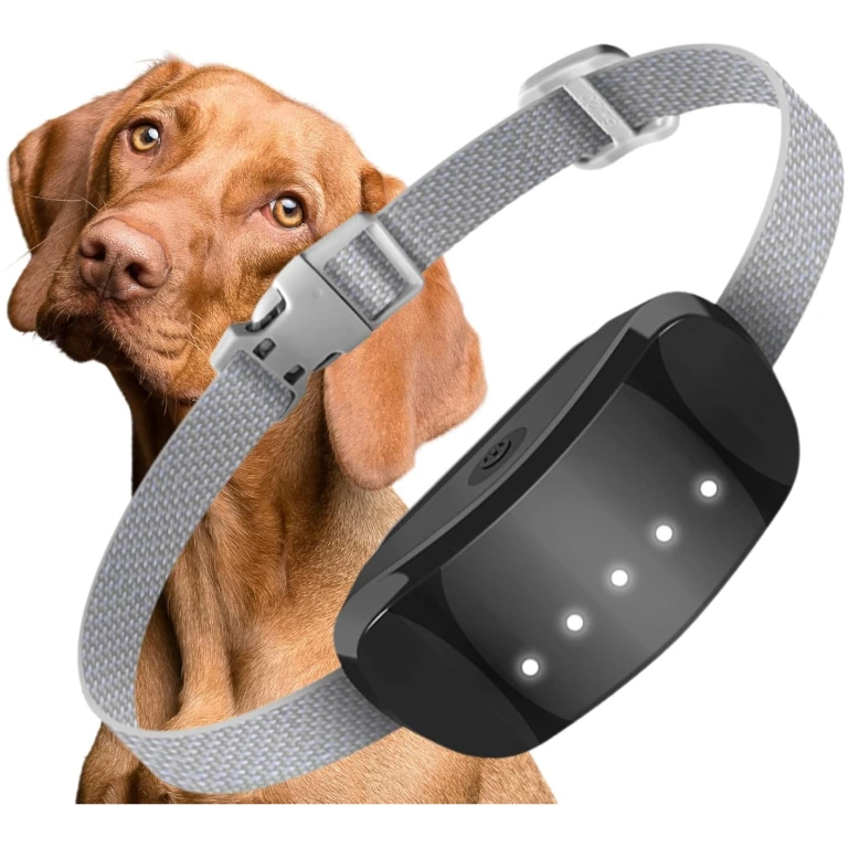 Dog Bark Collar, Adjustable Training Collar Intelligent Waterproof Barking Terminator Device, Anti-Barking Device with 5 sensitivities, USB Charging, Long Battery Life Dogs