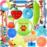 Dog Toys 25 Pack for Fun and Teeth Cleaning, Puppy Chew Toys Pack with Squeak Plush Toy,Squeaky Toy Balls,Tug of War and Rope Toys for Puppy to Small Dogs