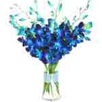 eflowerwholesale - Premium Cut Blue Orchids (10 stems Orchid with Rhinestone Mesh Ribbon Vase)