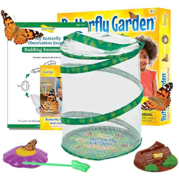 Insect Lore Butterfly Garden Kit, Painted Lady Butterfly Kit with Voucher for Live Caterpillars, Butterfly Habitat, STEM Journal & More
