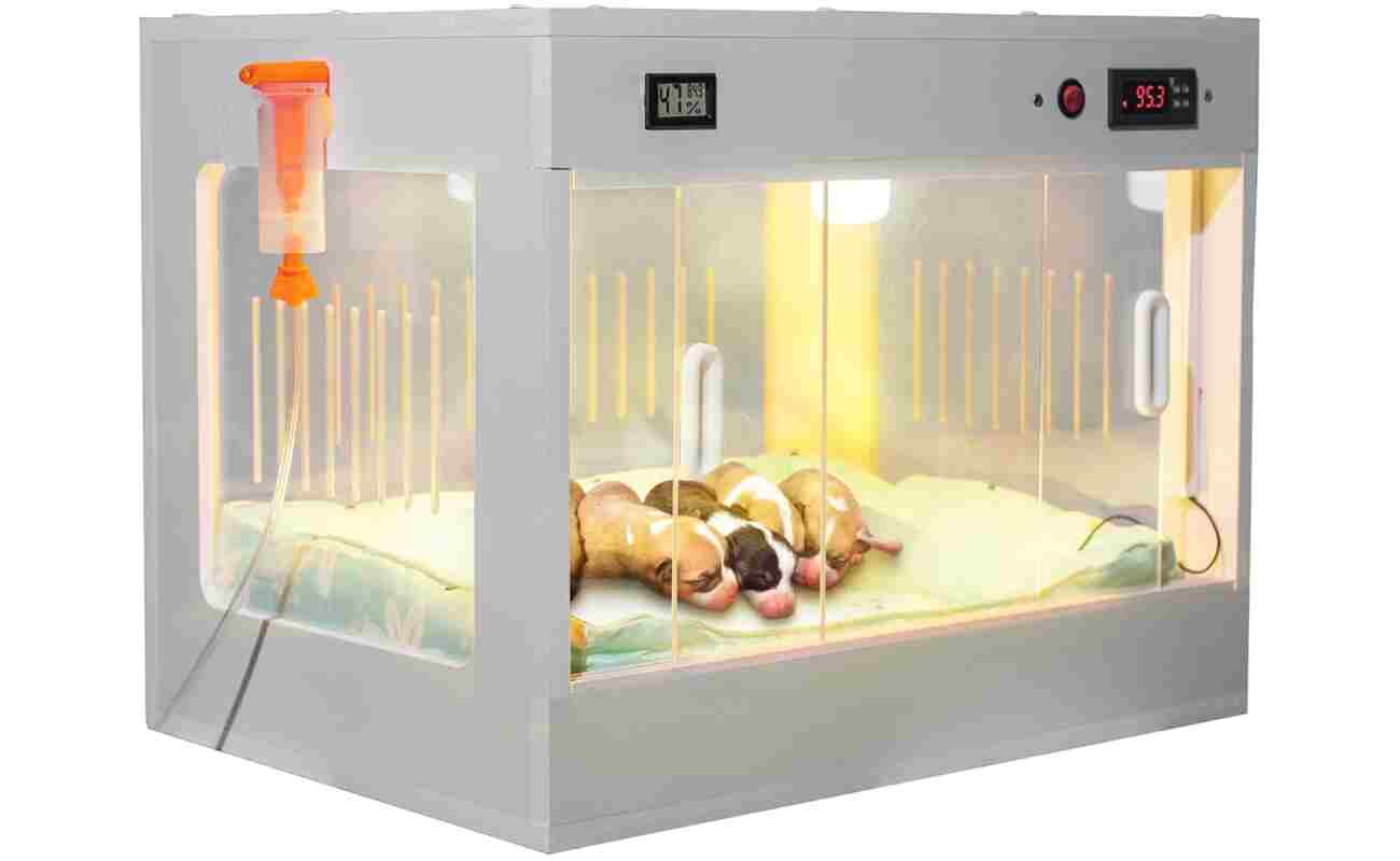 Intelligent Puppy Incubator Newborn Big Family Dog Kennel Pet Box Lab Heater Puppy Essentials Dog Crate