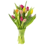 KaBloom Flowers - Mother's Day Collection - Bouquet of 10 Assorted Tulips Without Vase - Gift for Birthday, Sympathy, Anniversary, Get Well, Thank You, Valentine, Mother’s Day...