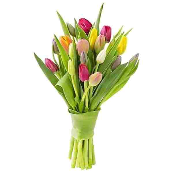 KaBloom Flowers - Mother's Day Collection - Bouquet of 10 Assorted Tulips Without Vase - Gift for Birthday, Sympathy, Anniversary, Get Well, Thank You, Valentine, Mother’s Day...