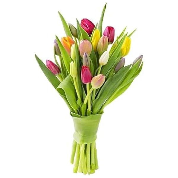 KaBloom Flowers - Mother's Day Collection - Bouquet of 10 Assorted Tulips Without Vase - Gift for Birthday, Sympathy, Anniversary, Get Well, Thank You, Valentine, Mother’s Day...