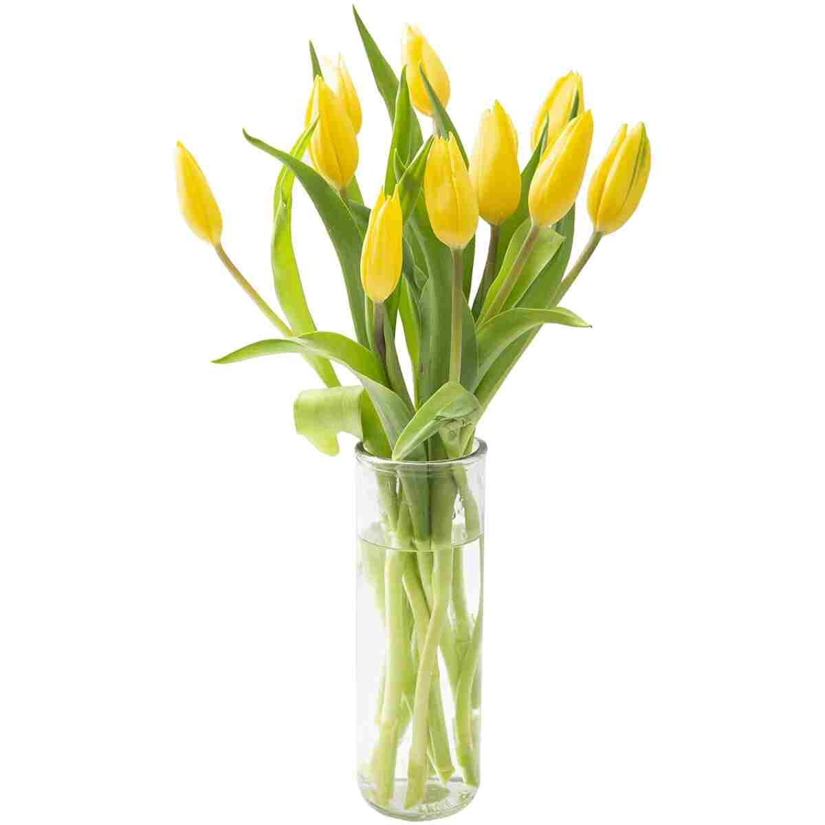 KaBloom Flowers - Mother's Day Collection - Bouquet of Fresh 10 Yellow Tulips with Vase. Gift for Birthday, Get Well, Thank You, Valentine, Mother’s Day Fresh Flowers