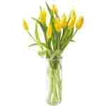 KaBloom Flowers - Mother's Day Collection - Bouquet of Fresh 10 Yellow Tulips with Vase. Gift for Birthday, Get Well, Thank You, Valentine, Mother’s Day Fresh Flowers