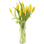 KaBloom Flowers - Mother's Day Collection - Bouquet of Fresh 10 Yellow Tulips with Vase. Gift for Birthday, Get Well, Thank You, Valentine, Mother’s Day Fresh Flowers