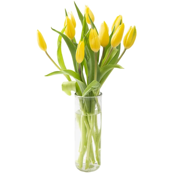 KaBloom Flowers - Mother's Day Collection - Bouquet of Fresh 10 Yellow Tulips with Vase. Gift for Birthday, Get Well, Thank You, Valentine, Mother’s Day Fresh Flowers