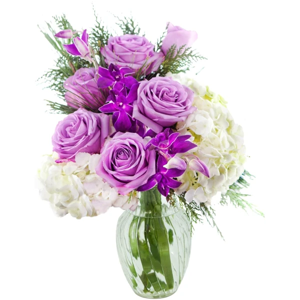 KaBloom Flowers - Mother's Day Collection - Bouquet of Purple Roses,White Hydrangea,Purple Orchids and Greens with Vase.Gift for Birthday, Anniversary, Mother’s Day Fresh Flowers