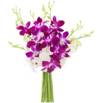 KaBloom Flowers - Mother's Day Collection - Exotic Opal Orchid Bouquet of Purple and White Orchids without Vase - Gift for Birthday,Anniversary, Thank You, Valentine, Mother’s...