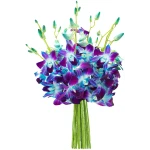 KaBloom Flowers - Mother's Day Collection - "National" Collection Exotic Sapphire Orchid Bouquet of Blue Orchids - Gift for Birthday, Anniversary, Thank You, Valentine, Mother’s...