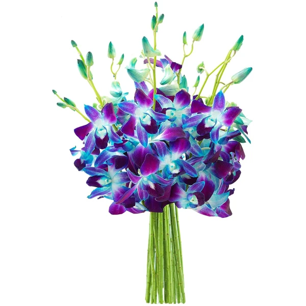 KaBloom Flowers - Mother's Day Collection - "National" Collection Exotic Sapphire Orchid Bouquet of Blue Orchids - Gift for Birthday, Anniversary, Thank You, Valentine, Mother’s...