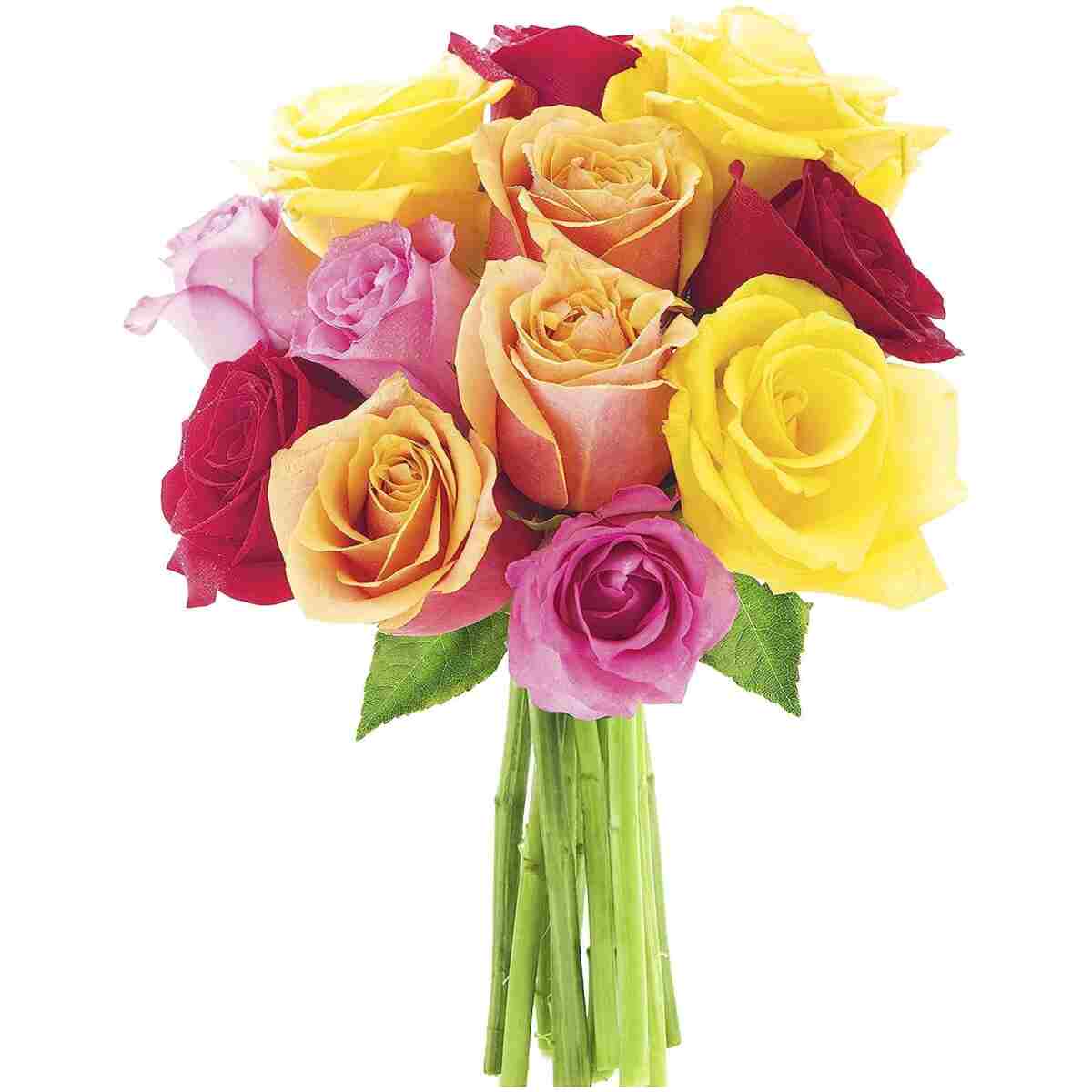 KaBloom Flowers - Mother's Day Collection - PREMIUM 12 Assorted Roses with Greens Without Vase - Gift for Birthday, Anniversary,Thank You, Valentine, Mother’s Day Fresh Flowers