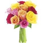 KaBloom Flowers - Mother's Day Collection - PREMIUM 12 Assorted Roses with Greens Without Vase - Gift for Birthday, Anniversary,Thank You, Valentine, Mother’s Day Fresh Flowers