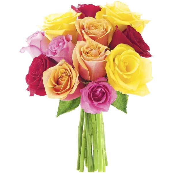 KaBloom Flowers - Mother's Day Collection - PREMIUM 12 Assorted Roses with Greens Without Vase - Gift for Birthday, Anniversary,Thank You, Valentine, Mother’s Day Fresh Flowers