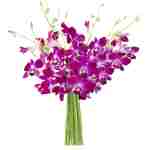 KaBloom PRIME NEXT DAY DELIVERY - Summer Collection - Bouquet of 10 Purple Orchid .Gift for Birthday, Anniversary, Get Well, Thank You, Valentine, Mother’s Day Fresh Flowers