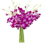 KaBloom PRIME NEXT DAY DELIVERY - Summer Collection - Bouquet of 10 Purple Orchid .Gift for Birthday, Anniversary, Get Well, Thank You, Valentine, Mother’s Day Fresh Flowers