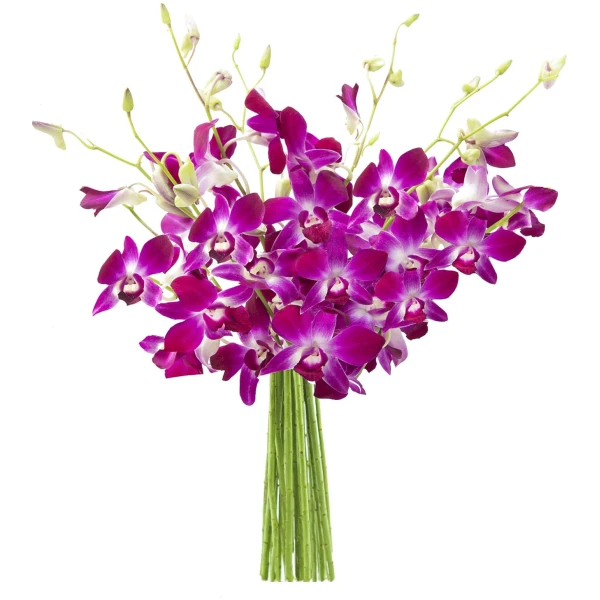 KaBloom PRIME NEXT DAY DELIVERY - Summer Collection - Bouquet of 10 Purple Orchid .Gift for Birthday, Anniversary, Get Well, Thank You, Valentine, Mother’s Day Fresh Flowers
