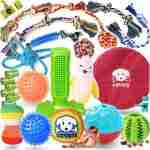 KIPRITII 25 Pack Various Puppy Dog Toys for Teething, Entertainment & Interaction, Puppy Chew Toys Pack with Rope Toys, Treat Balls and Dog Squeaky Toys for Puppy & Small Dogs