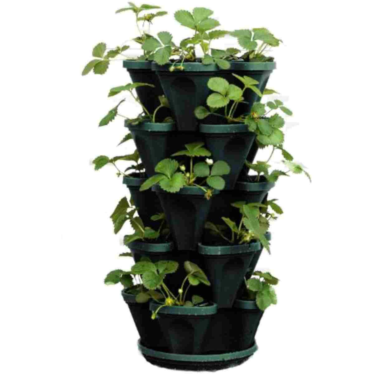 Mr. Stacky 1305-HG 5-Tier Stackable Strawberry, Herb, Flower, & Vegetable Planter - Vertical Gardening Indoor / Outdoor Stacking Garden Pots Hunter Green, 22.5 Quarts
