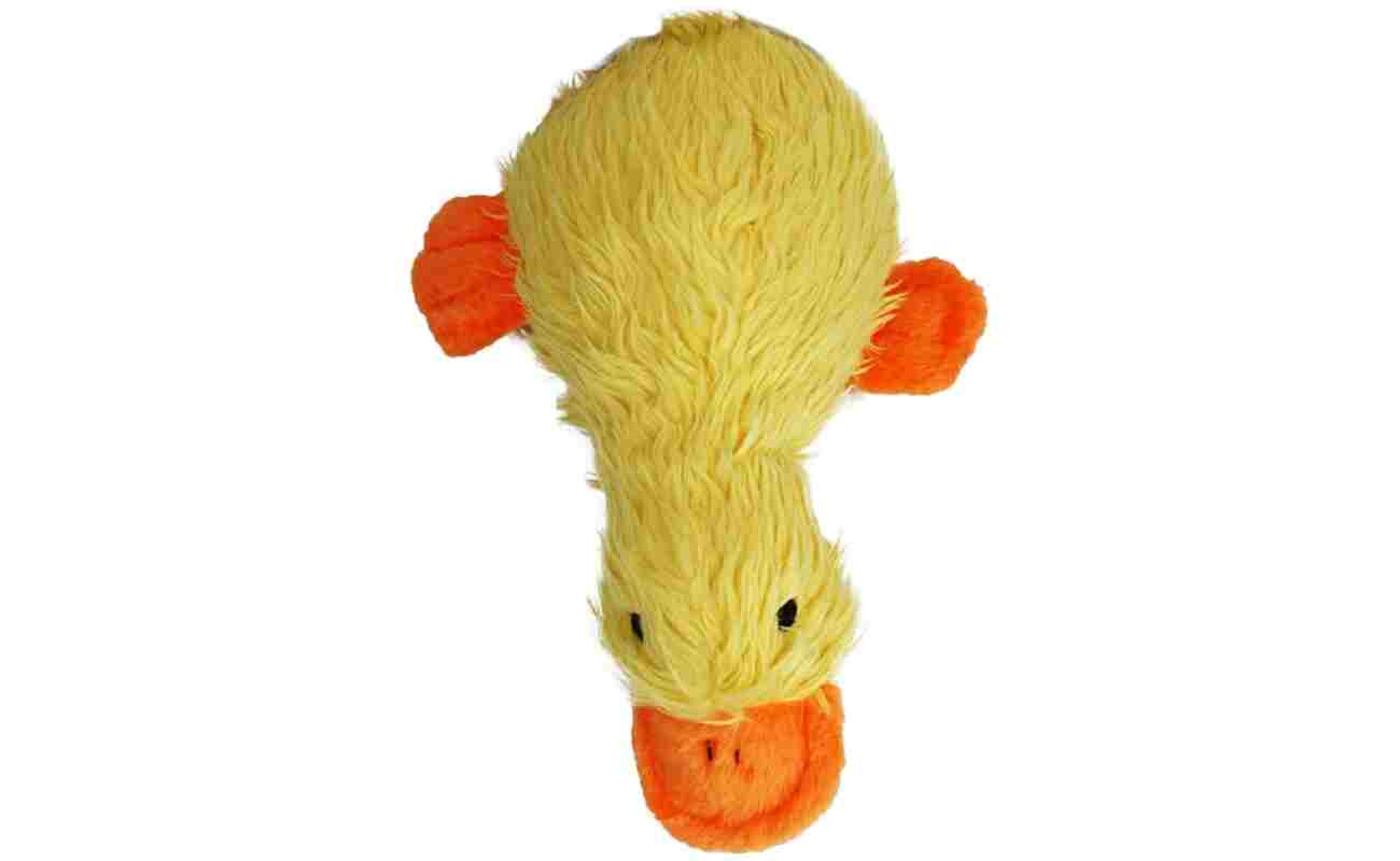 MULTIPET Duckworth Plush Filled Dog Toy, Assorted Colors, (Pack of 1)