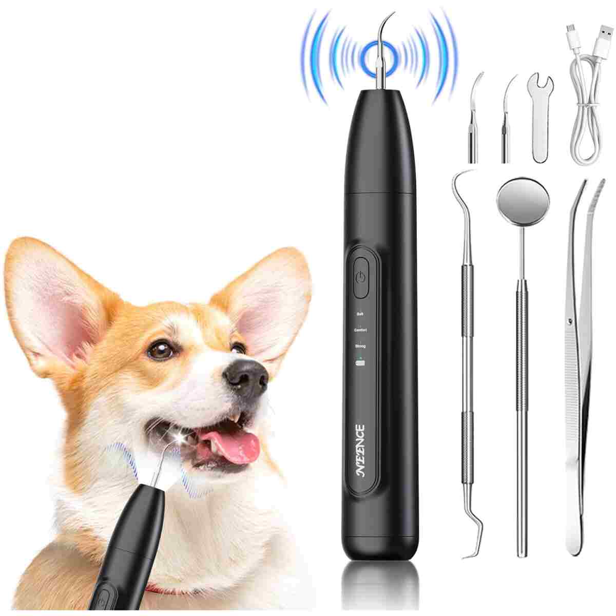 NEENCE Dog Tartar Remover for Teeth, Dog Tooth Brushing Kit with LED Light, Pet Ultrasonic Cleaner, Teeth Cleaning for Pet Dental Care, Black