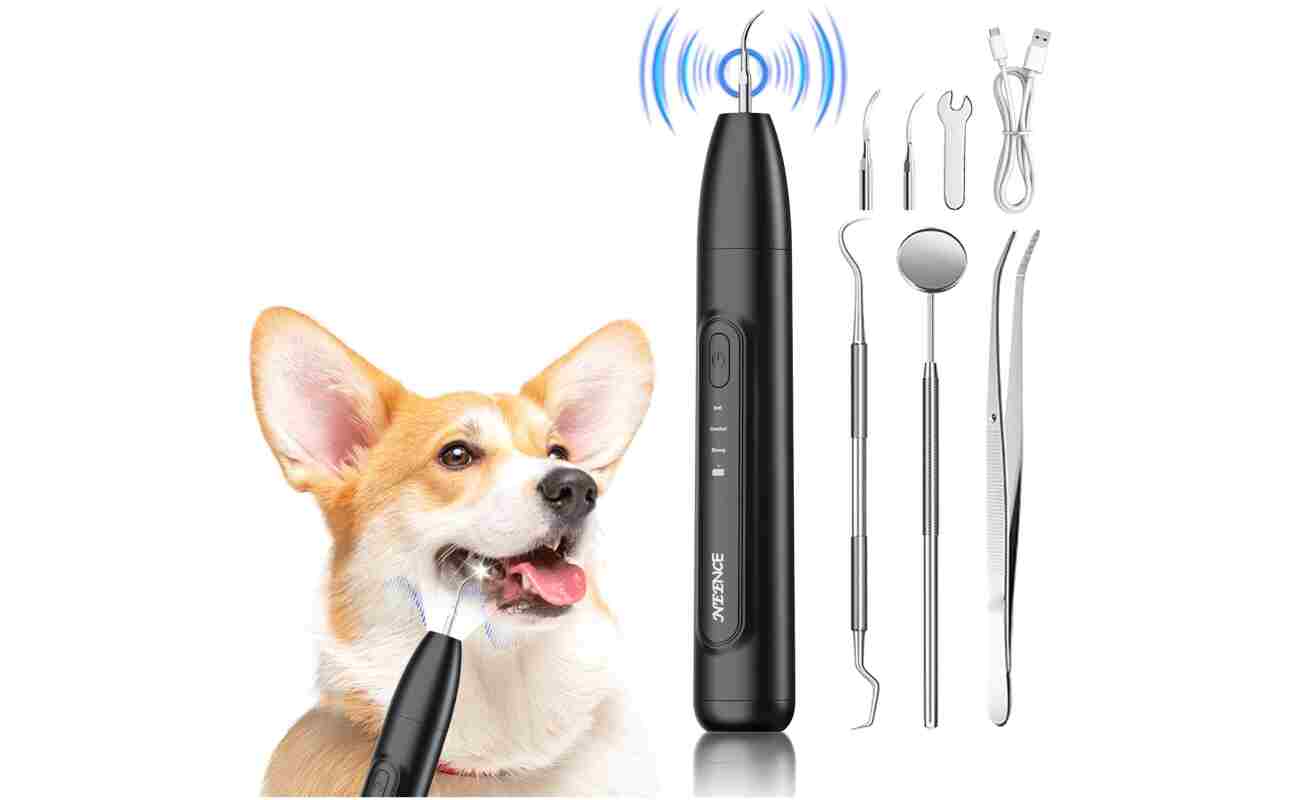 NEENCE Dog Tartar Remover for Teeth, Dog Tooth Brushing Kit with LED Light, Pet Ultrasonic Cleaner, Teeth Cleaning for Pet Dental Care, Black