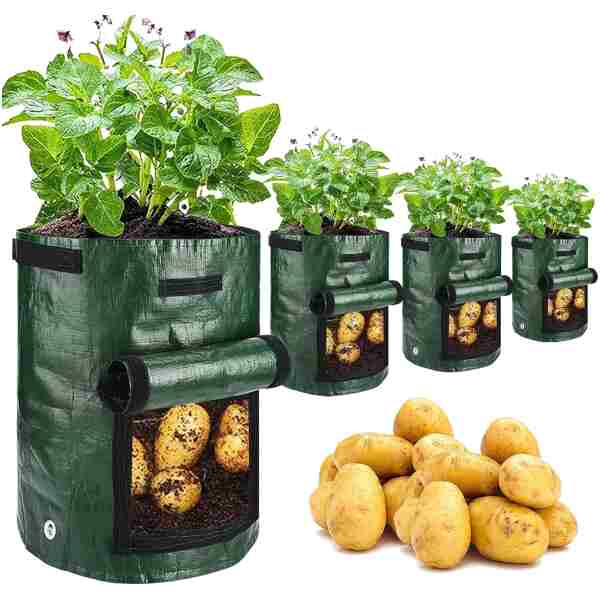 Potato Grow Bags, 4 Pack 10 Gallon with Flap and Handles Planter Pots for Onion, Fruits, Tomato, Carrot - Green