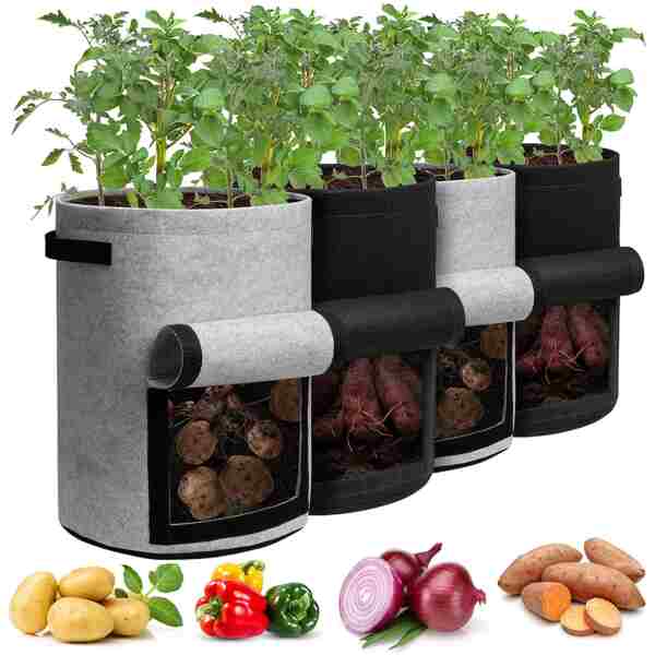 Potato Grow Bags with Flap 10 Gallon, 4 Pack Planter Pot with Handles and Harvest Window for Potato Tomato and Vegetables, Black and Gray